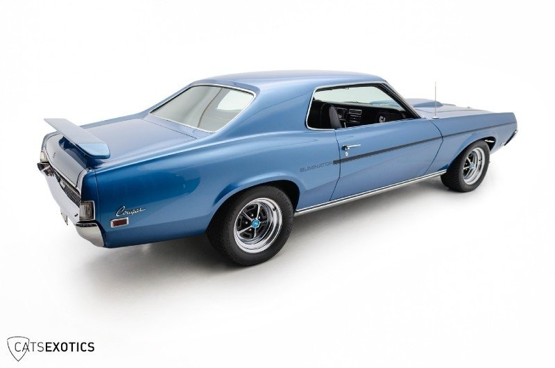 9F91R573612_Dec2013_Cats_Exotics