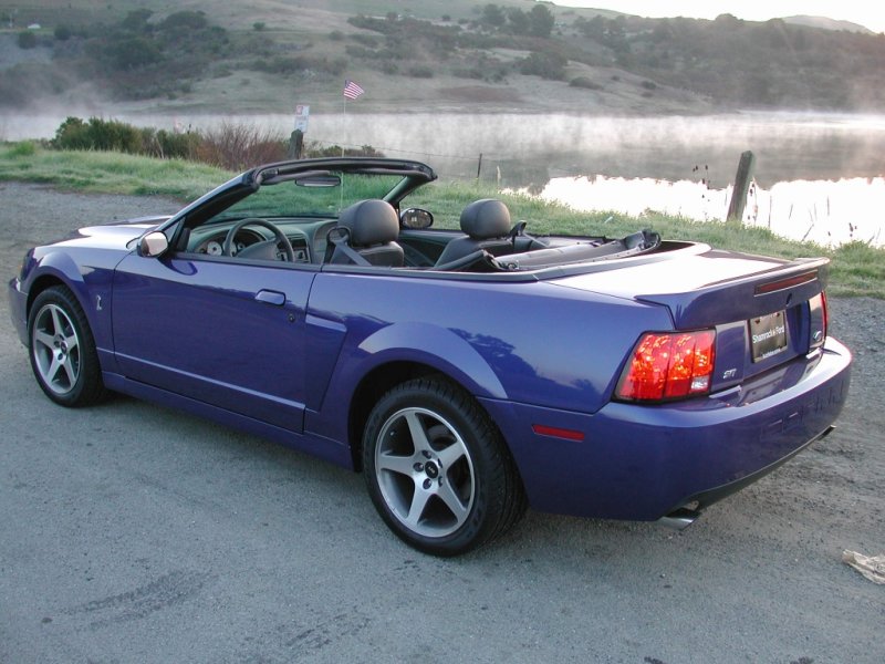 03 Cobra - Misty Mornin' 1